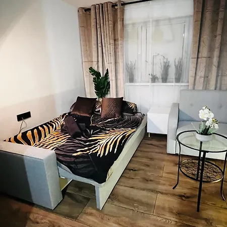Apartment Kameralna Kawalerka W Stylu Loftu Blisko Centrum