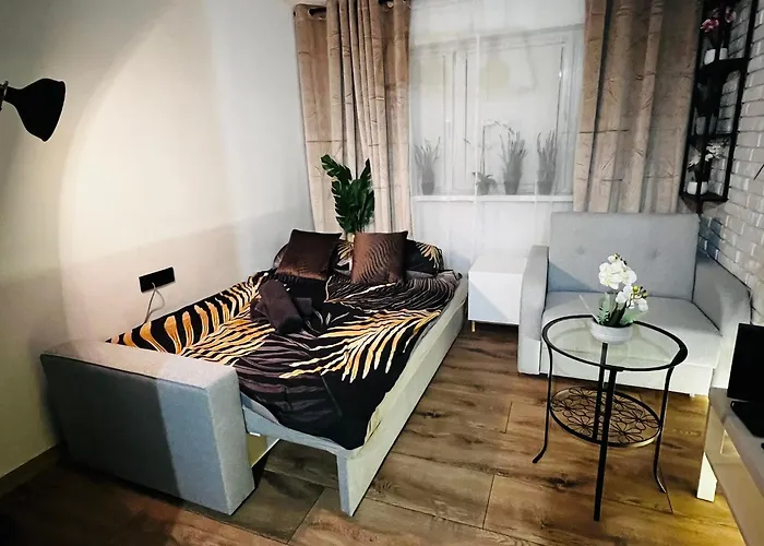 شقة Kameralna Kawalerka W Stylu Loftu Blisko Centrum