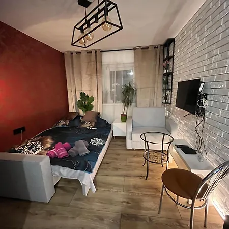 Kameralna Kawalerka W Stylu Loftu Blisko Centrum Апартаменты Варшава