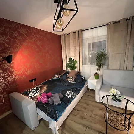 Kameralna Kawalerka W Stylu Loftu Blisko Centrum Appartamento