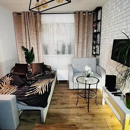 Kameralna Kawalerka W Stylu Loftu Blisko Centrum Varsó